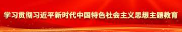 齐逼裙操逼学习贯彻习近平新时代中国特色社会主义思想主题教育